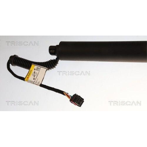 TRISCAN 8710 29339 Gasfeder, Koffer-/Laderaum f&uuml;r CUPRA, links, rechts