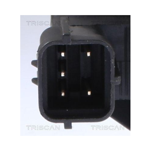 AGR-Ventil TRISCAN 8813 21008 f&uuml;r CHEVROLET DAEWOO GENERAL MOTORS