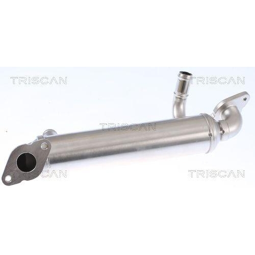 K&uuml;hler, Abgasr&uuml;ckf&uuml;hrung TRISCAN 8813 29343 f&uuml;r VW