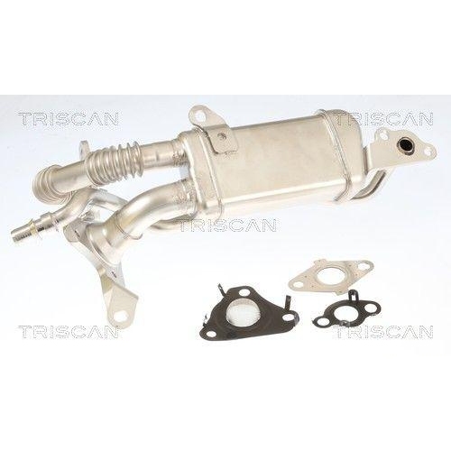 TRISCAN 8813 10061 K&uuml;hler, Abgasr&uuml;ckf&uuml;hrung f&uuml;r MERCEDES-BENZ NISSAN RENAULT