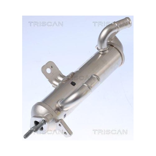 K&uuml;hler, Abgasr&uuml;ckf&uuml;hrung TRISCAN 8813 43102 f&uuml;r HYUNDAI KIA