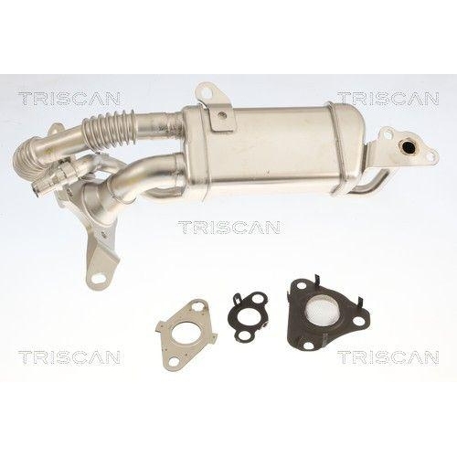 TRISCAN 8813 25049 K&uuml;hler, Abgasr&uuml;ckf&uuml;hrung f&uuml;r RENAULT DACIA