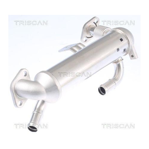 K&uuml;hler, Abgasr&uuml;ckf&uuml;hrung TRISCAN 8813 43103 f&uuml;r HYUNDAI KIA