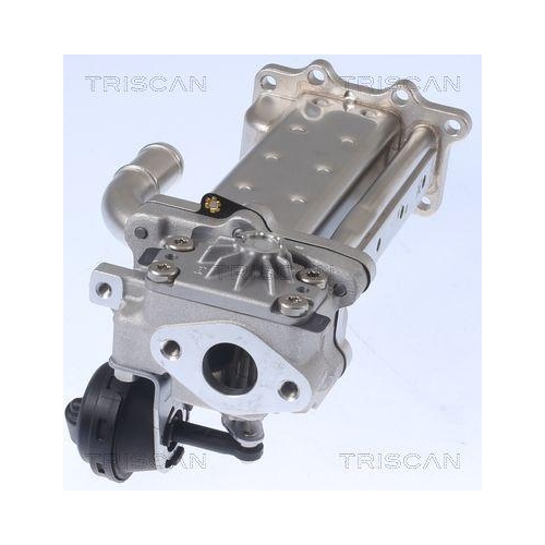 K&uuml;hler, Abgasr&uuml;ckf&uuml;hrung TRISCAN 8813 43104 f&uuml;r HYUNDAI KIA