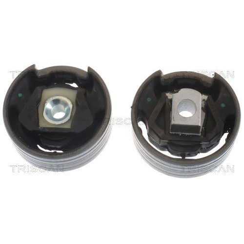 Lagerung, Motor TRISCAN 8505 29137 f&uuml;r AUDI SEAT SKODA VW CUPRA, hinten, links