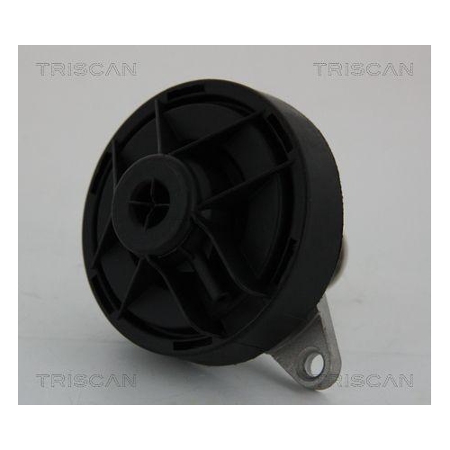 AGR-Ventil TRISCAN 8813 24202 f&uuml;r OPEL VAUXHALL