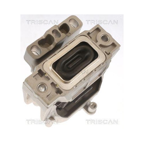 Lagerung, Motor TRISCAN 8505 29143 f&uuml;r AUDI SKODA VW, hinten, rechts