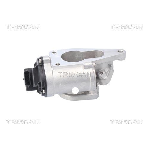 AGR-Ventil TRISCAN 8813 25201 f&uuml;r RENAULT SUZUKI