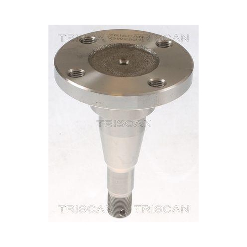 Radnabe TRISCAN 8535 24000 f&uuml;r OPEL, Hinterachse