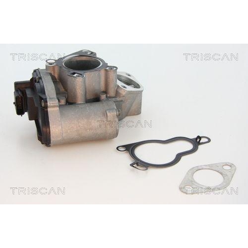 AGR-Ventil TRISCAN 8813 25203 f&uuml;r RENAULT