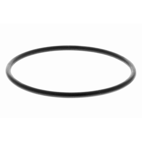 Kraftstofffilter VAICO V22-0529 Green Mobility Parts f&uuml;r CITRO&Euml;N