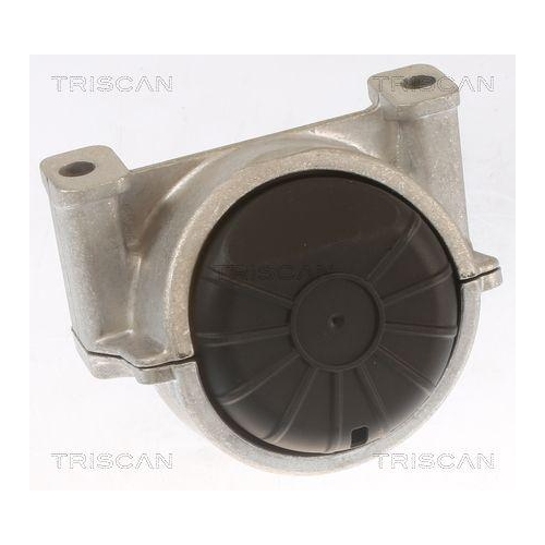 Lagerung, Motor TRISCAN 8505 29155 f&uuml;r AUDI, links, rechts, vorne