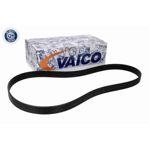 Keilrippenriemen VAICO V24-1209 Q+, Erstausr&uuml;sterqualit&auml;t f&uuml;r FIAT