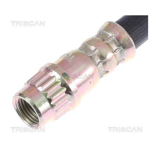 Bremsschlauch TRISCAN 8150 25103 f&uuml;r RENAULT DACIA ALPINA, Hinterachse