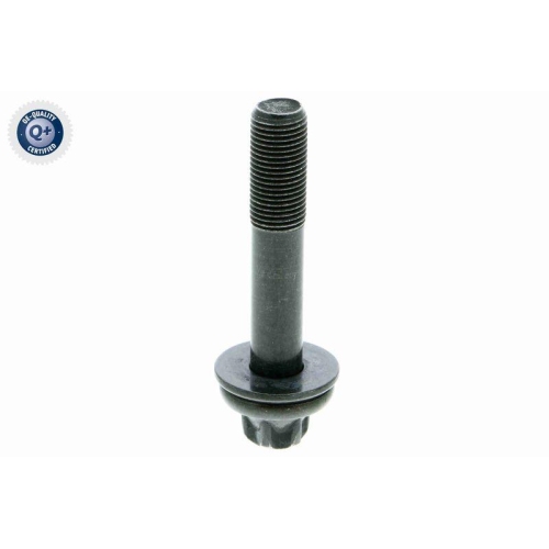 Nockenwellenversteller VAICO V20-2989 Q+, Erstausrüsterqualität für BMW CITROËN