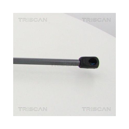 Gasfeder, Koffer-/Laderaum TRISCAN 8710 80217 für JEEP, hinten rechts