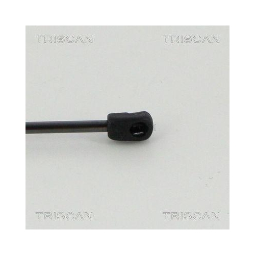 Gasfeder, Koffer-/Laderaum TRISCAN 8710 112012 f&uuml;r
