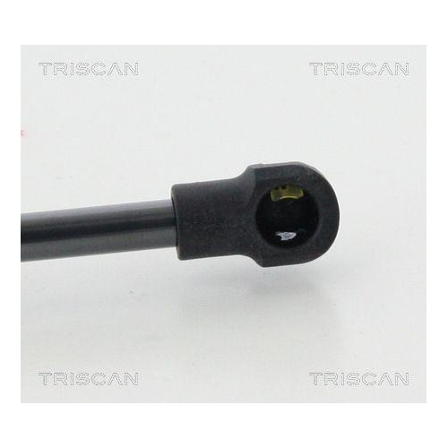 Gasfeder, Koffer-/Laderaum TRISCAN 8710 11240 für BMW, hinten links