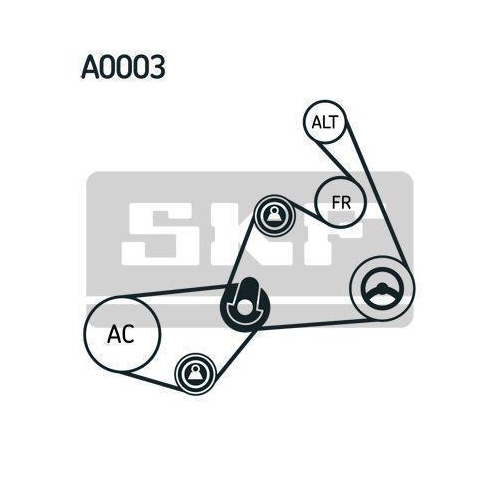 Keilrippenriemensatz SKF VKMAF 31020-1 f&uuml;r ALFA ROMEO AUDI BMW FIAT LANCIA MAZDA