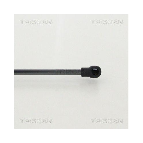 Gasfeder, Koffer-/Laderaum TRISCAN 8710 11242 f&uuml;r BMW, hinten links