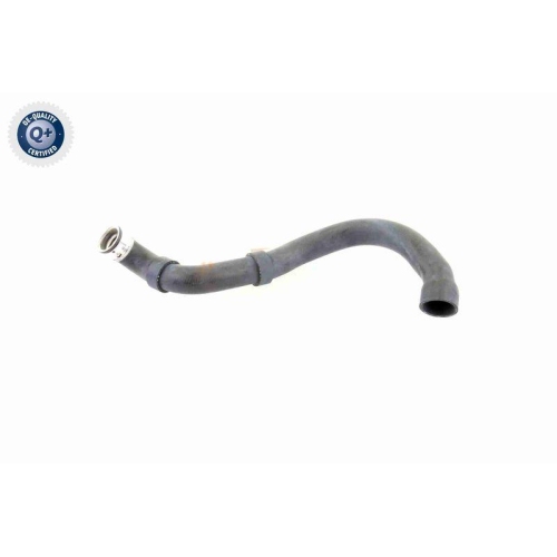 Kühlerschlauch VAICO V30-1661 Q+, Erstausrüsterqualität für MERCEDES-BENZ, unten