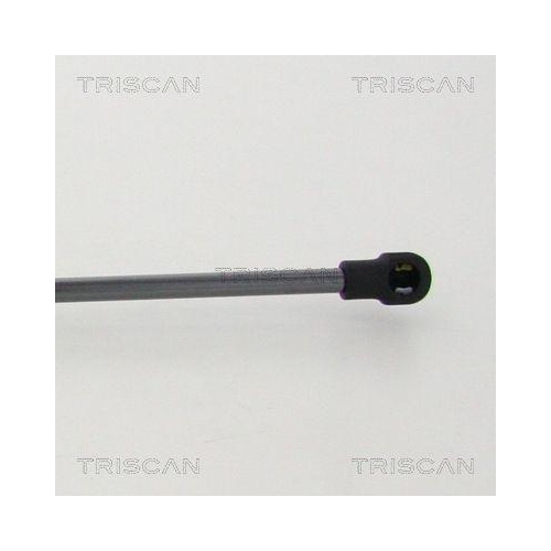 Gasfeder, Koffer-/Laderaum TRISCAN 8710 11244 f&uuml;r BMW, hinten links