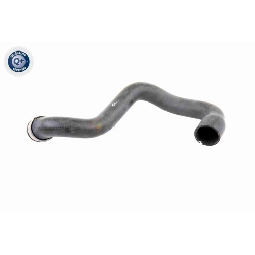 Kühlerschlauch VAICO V30-1662 Q+, Erstausrüsterqualität für MERCEDES-BENZ, unten