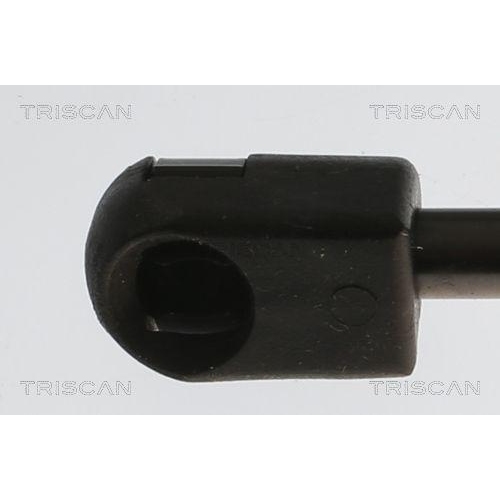 Gasfeder, Koffer-/Laderaum TRISCAN 8710 11362 f&uuml;r BMW, hinten links