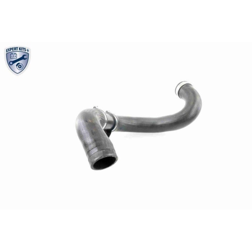 Ladeluftschlauch VAICO V30-2420 EXPERT KITS + f&uuml;r CHRYSLER DODGE MERCEDES-BENZ