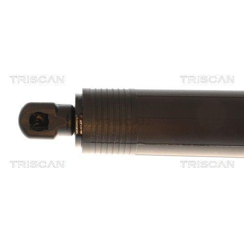 TRISCAN 8710 81209 Gasfeder, Koffer-/Laderaum f&uuml;r TESLA, hinten rechts