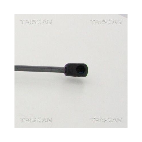 Gasfeder, Koffer-/Laderaum TRISCAN 8710 11246 f&uuml;r BMW MINI, hinten links