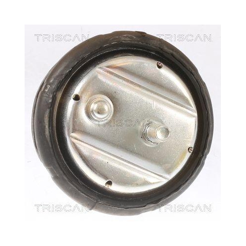 Lagerung, Motor TRISCAN 8505 11101 f&uuml;r BMW, links, rechts, vorne, vorne rechts