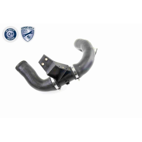 Ladeluftschlauch VAICO V30-2421 EXPERT KITS + für CHRYSLER DODGE MERCEDES-BENZ