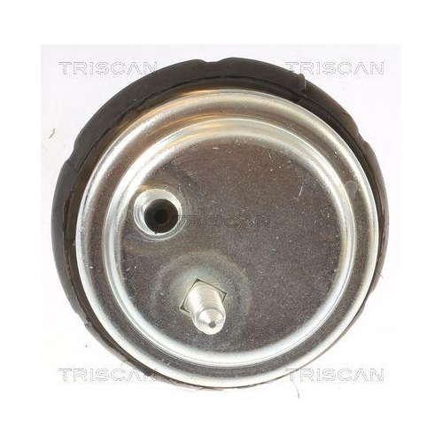 Lagerung, Motor TRISCAN 8505 11102 f&uuml;r BMW, rechts