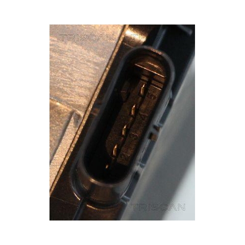 AGR-Ventil TRISCAN 8813 10031 f&uuml;r ALFA ROMEO FIAT