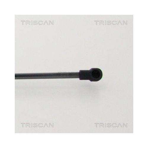 Gasfeder, Koffer-/Laderaum TRISCAN 8710 13294 f&uuml;r TOYOTA, hinten links