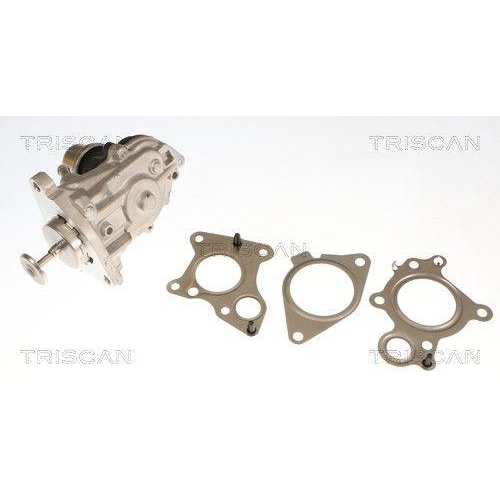 AGR-Ventil TRISCAN 8813 11007 f&uuml;r BMW MINI