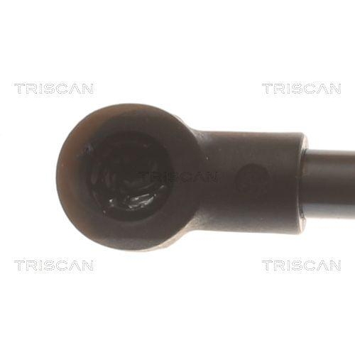 Gasfeder, Koffer-/Laderaum TRISCAN 8710 16306 f&uuml;r FORD, hinten links