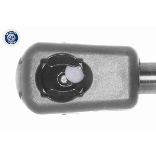 Gasfeder, Koffer-/Laderaum VAICO V30-4557 Q+, Erstausr&uuml;sterqualit&auml;t f&uuml;r