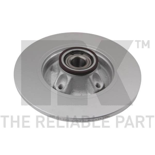 NK 311951 2 St&uuml;ck Bremsscheiben f&uuml;r CITRO&Euml;N PEUGEOT DS, Hinterachse