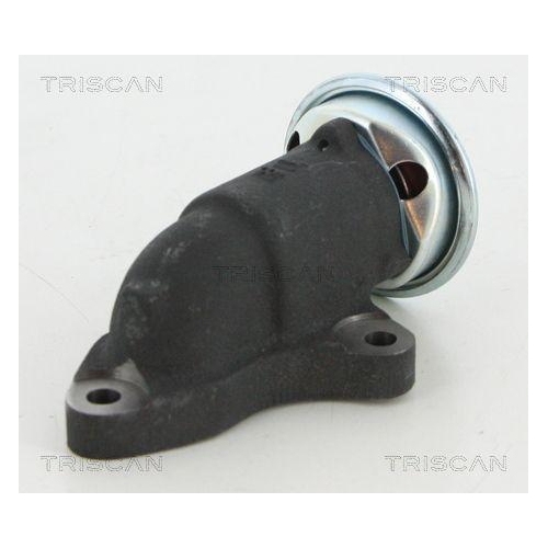 AGR-Ventil TRISCAN 8813 13064 f&uuml;r TOYOTA