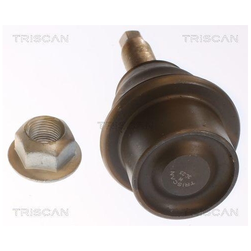 Trag-/F&uuml;hrungsgelenk TRISCAN 8500 80579 f&uuml;r RAM