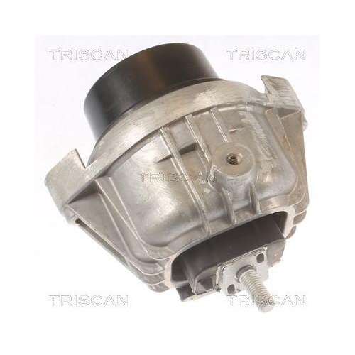 Lagerung, Motor TRISCAN 8505 11111 f&uuml;r BMW, rechts, vorne