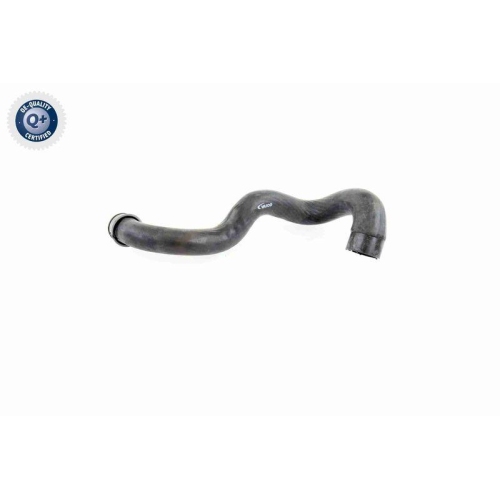 Kühlerschlauch VAICO V30-1919 Q+, Erstausrüsterqualität für MERCEDES-BENZ