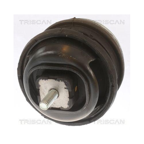 Lagerung, Motor TRISCAN 8505 11113 f&uuml;r BMW, links