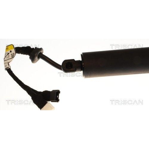 TRISCAN 8710 11385 Gasfeder, Koffer-/Laderaum f&uuml;r BMW, links, rechts