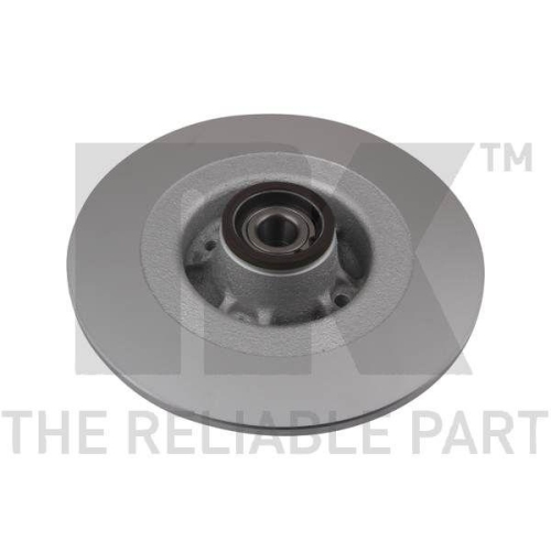 NK 313965 2 St&uuml;ck Bremsscheiben f&uuml;r RENAULT, Hinterachse