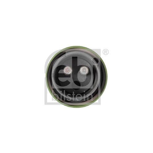 FEBI BILSTEIN Stecker 171824 f&uuml;r SCANIA VOLVO RENAULT TRUCKS