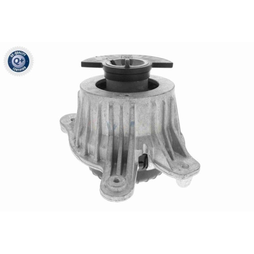 Lagerung, Motor VAICO V30-3100 Q+, Erstausr&uuml;sterqualit&auml;t f&uuml;r MERCEDES-BENZ