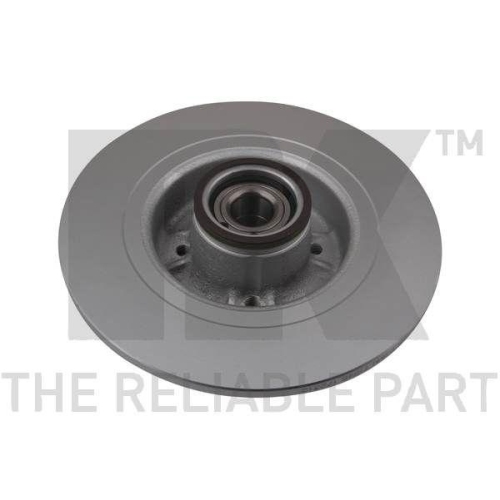 NK 313967 2 St&uuml;ck Bremsscheiben f&uuml;r RENAULT, Hinterachse